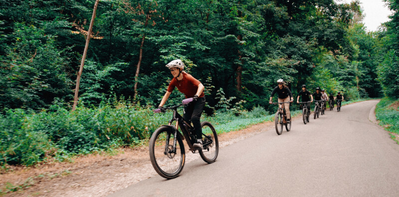 Eine Gruppe von Radfahrern fährt auf einer asphaltierten Straße durch einen grünen Wald.