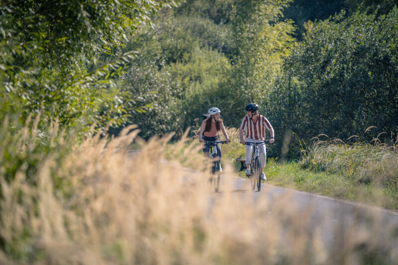 Zwei Personen fahren nebeneinander mit dem Fahrrad durch eine grüne, sonnige Landschaft.