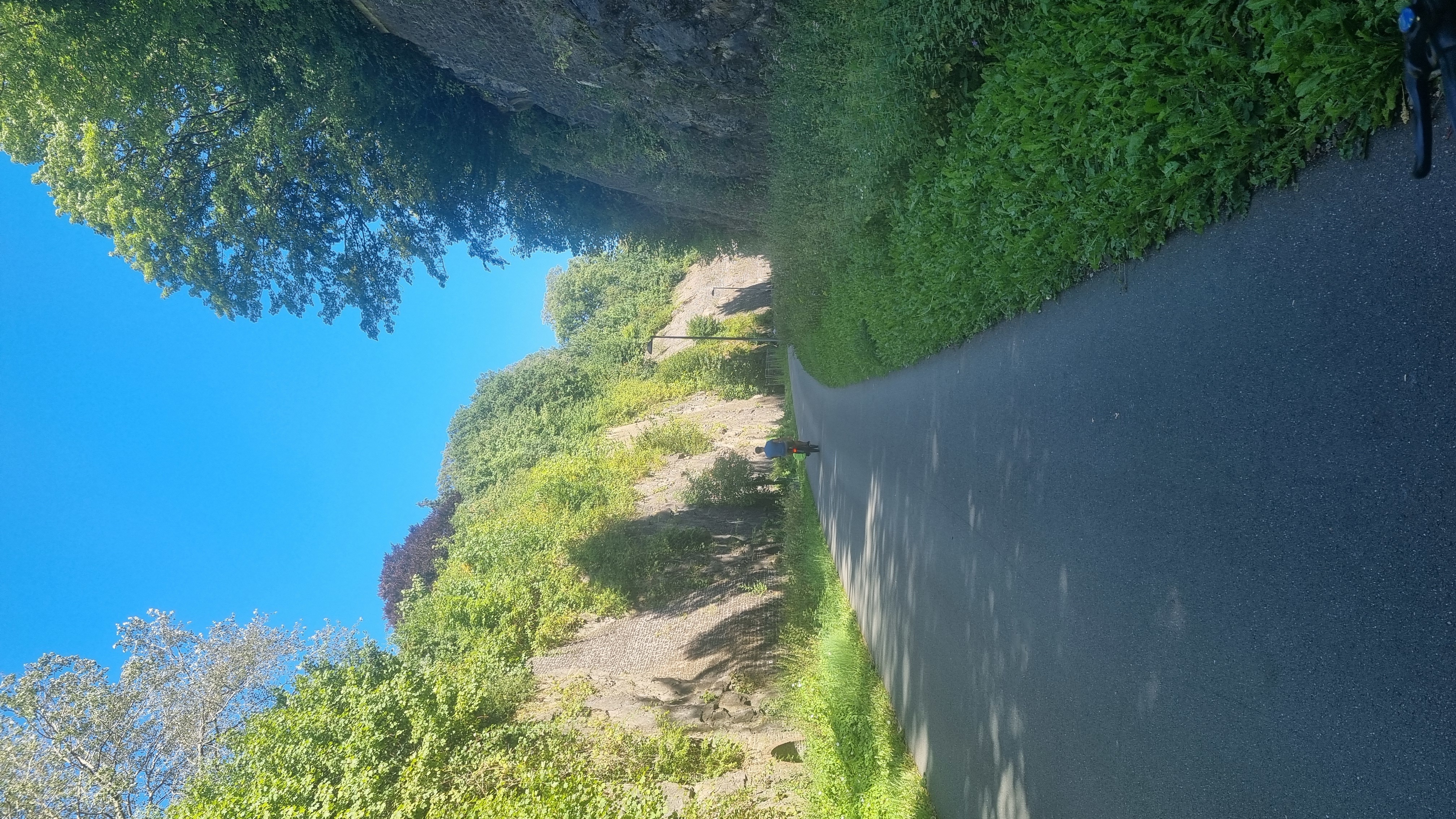 Eine einzelne Person fährt bei Sonnenschein mit dem Fahrrad durch eine enge, von Felsen gesäumte Schlucht mit dichter Vegetation.