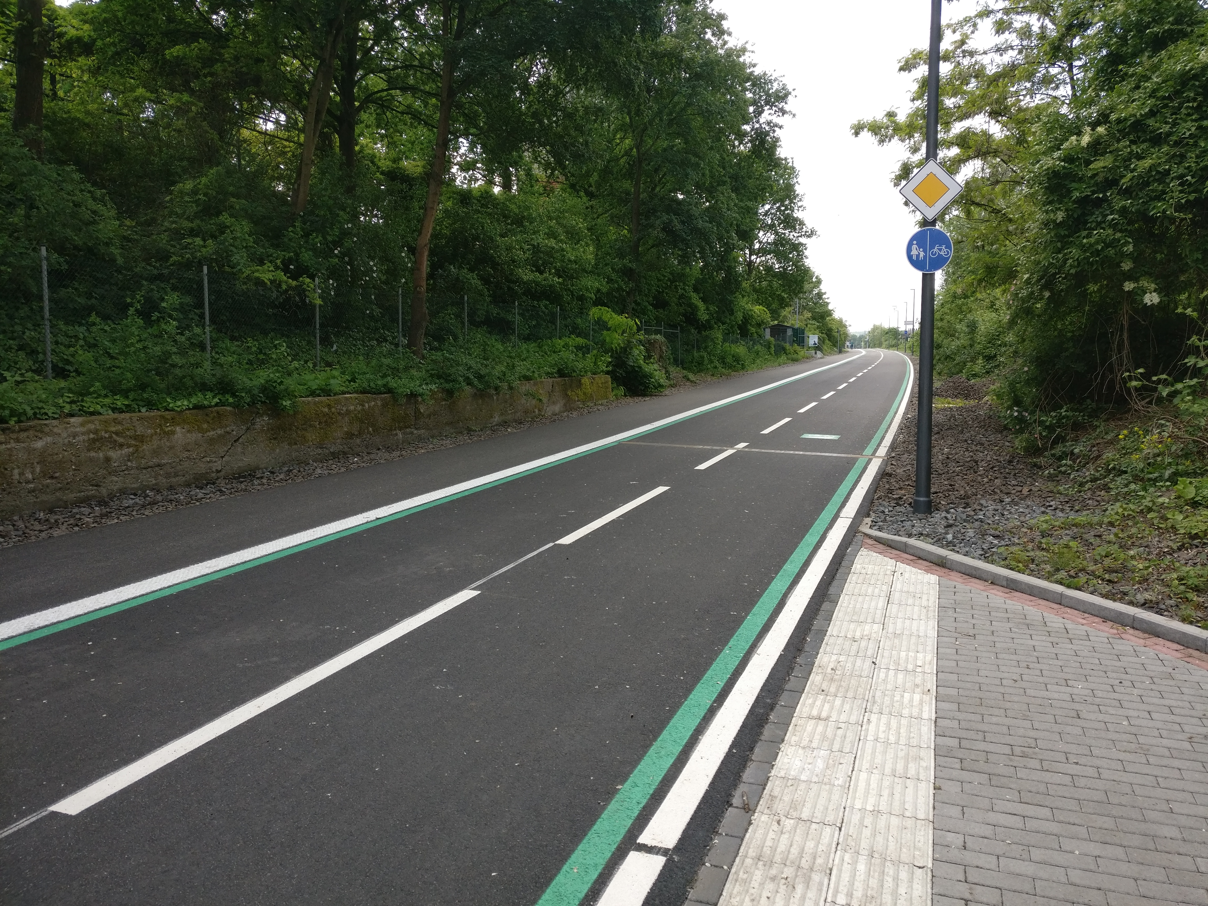 Eine frisch asphaltierte Straße mit grüner Markierung verläuft durch ein bewaldetes Gebiet mit kombiniertem Fuß- und Radweg.