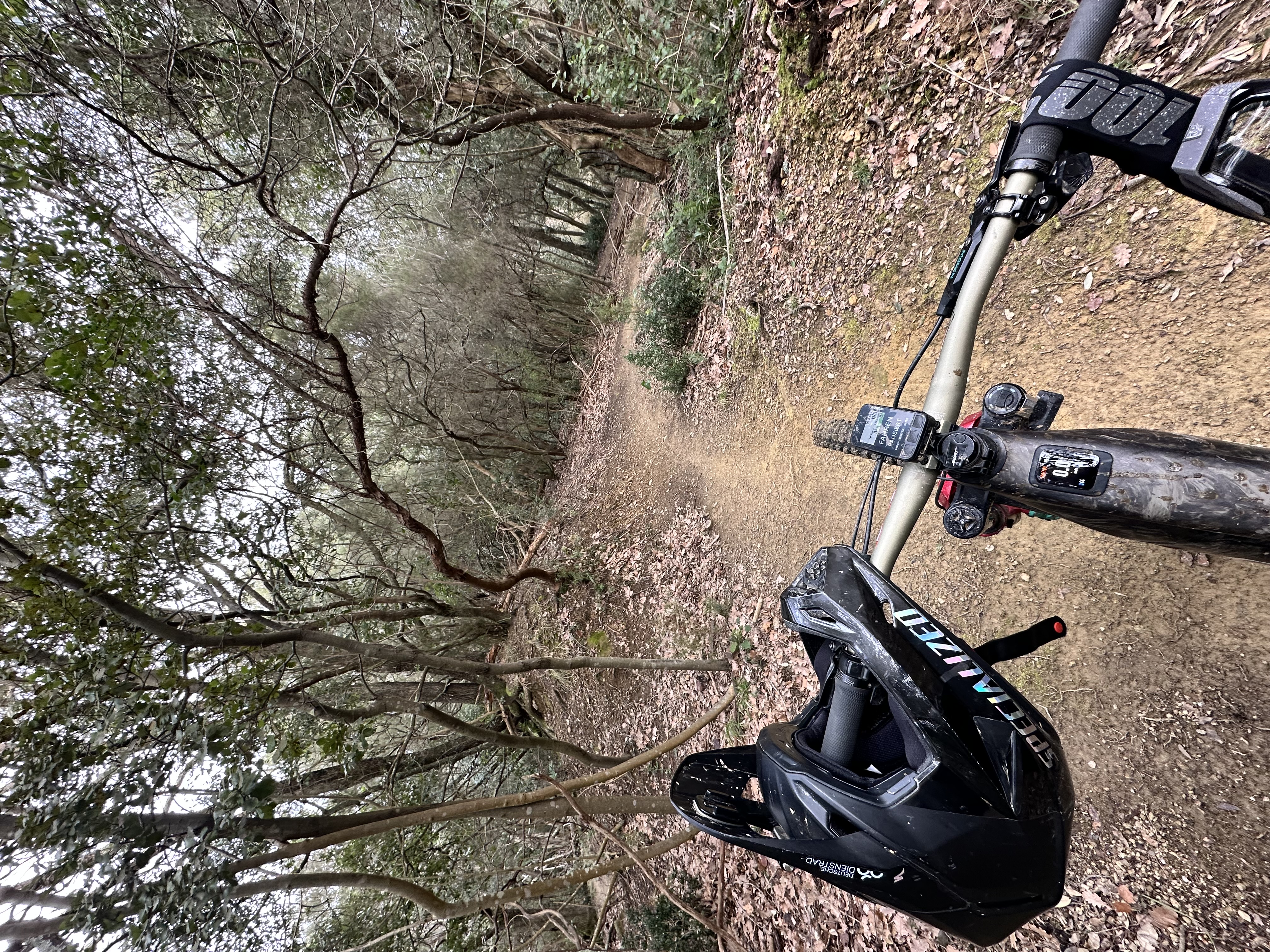Blick aus der Fahrerperspektive auf einen schmalen Waldtrail, mit Fahrradlenker im Vordergrund und einem Helm am linken Griff.