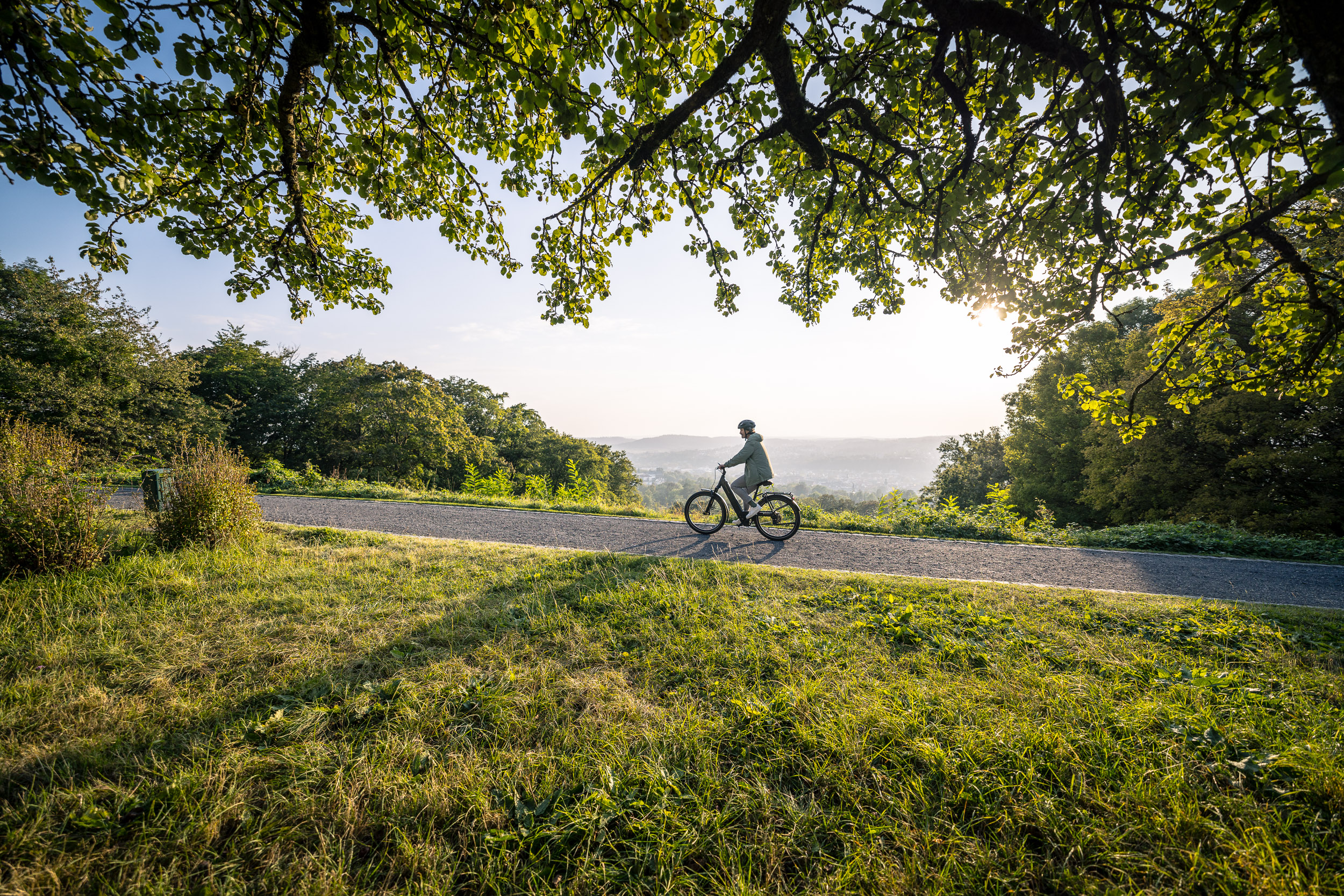 Eine einzelne Person fährt bei tief stehender Sonne mit dem Fahrrad auf einem Weg durch hügelige Waldlandschaft.